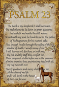 Psalm 23 Illustrated Poster, Christian Wall Art, Vintage Style Scripture Decoration, Religious Gift