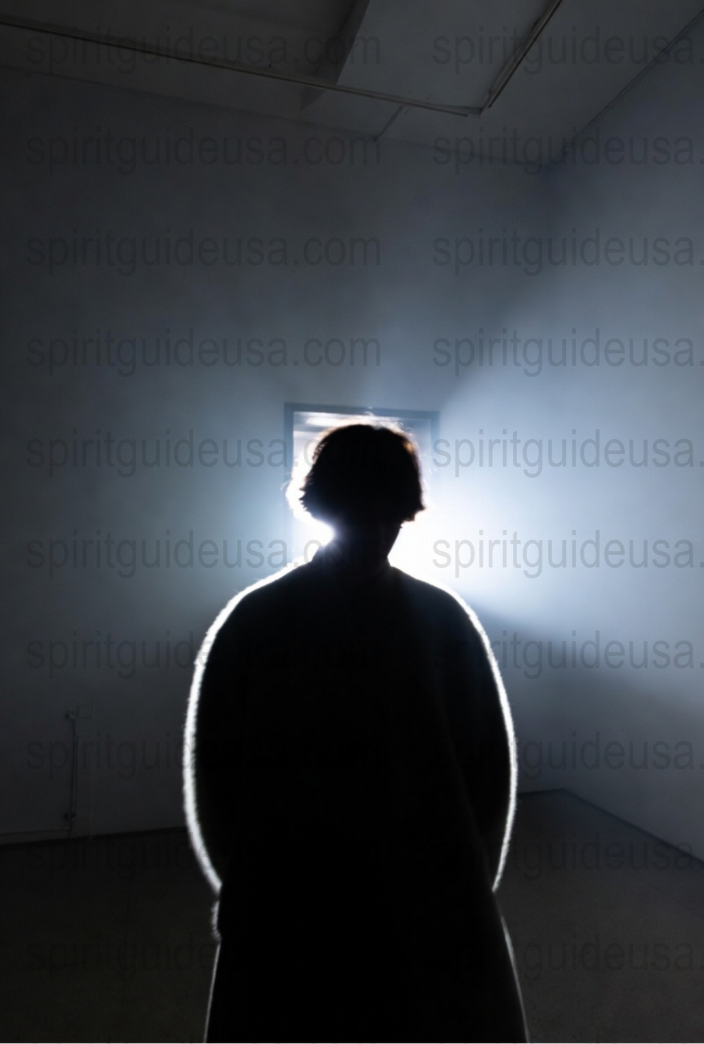 Silhouette of a Person in Light Halo, Artistic Black and White Photography, Wall Art Decor, Intriguing Mystery Poster