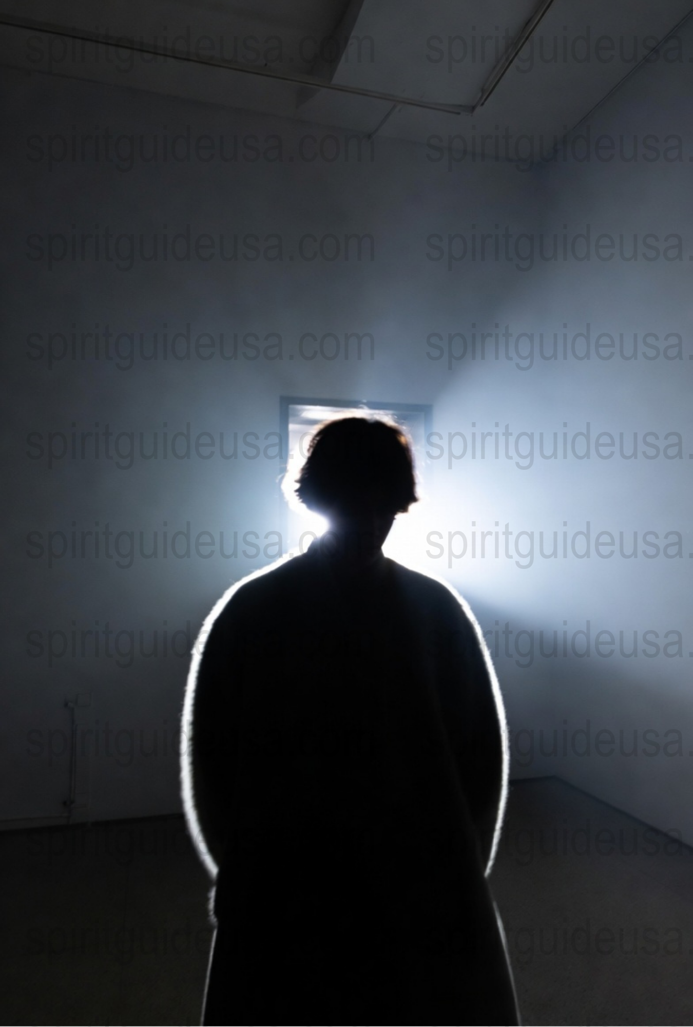 Silhouette of a Person in Light Halo, Artistic Black and White Photography, Wall Art Decor, Intriguing Mystery Poster